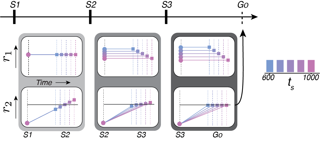 NeuralHypothesis